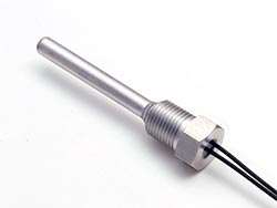 Thermistor Probe NPT style